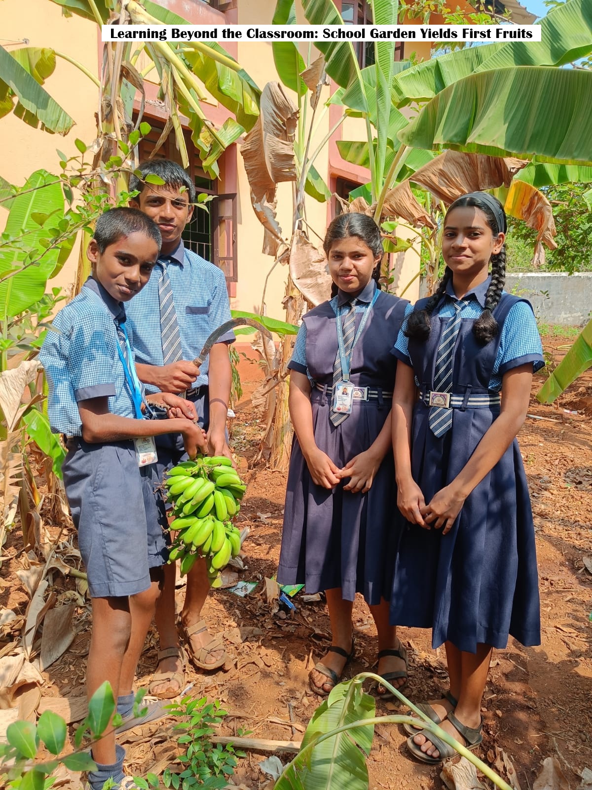 school garden